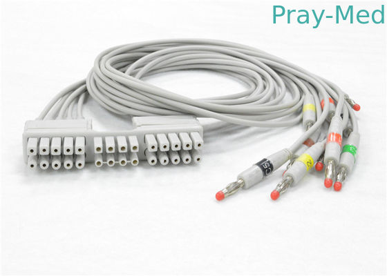 kaufen Mortara Eli230 ECG/EKG Kabel mit 10 Material 9293-046-60 der Anschlussleitungs-TPU Online-Herstellung