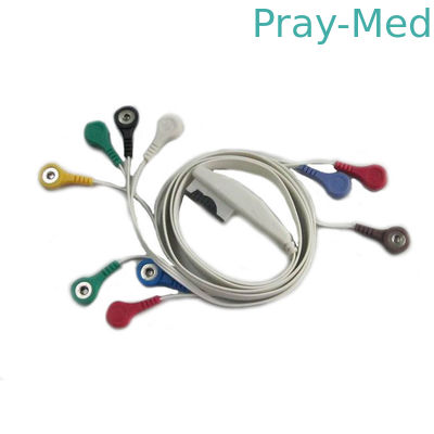 kaufen MORTARA Ecg Holter Cable 10-Lead für H12 H12+ X12 9293-017-51 Online-Herstellung
