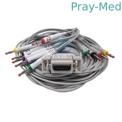 kaufen Siemens-/Führungs-EKG Kabel Hellige 10 mit Banane 4,0 3.6m AHA/IEC Online-Herstellung