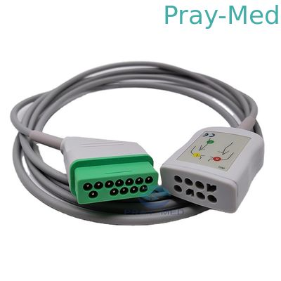 kaufen Nihon Kohden 12 Stamm-Kabel Pin 2.4m JC 906P ECG für erwachsenes pädiatrisches Online-Herstellung