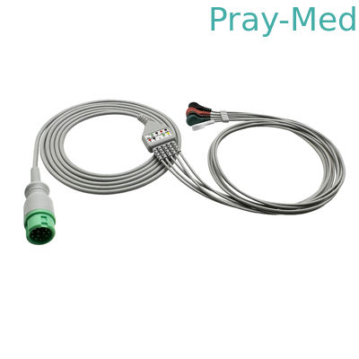 Mindray / Edan / Goldway EKG-Ständerkabel mit Blei Drähten 12 Pin Snap 12 Monate Garantie
