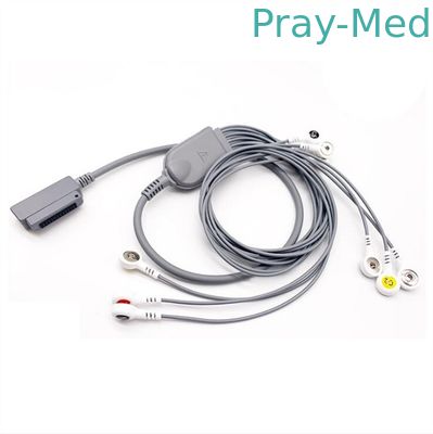 Führungen ECG Holter Cable Medex MAECG-200 26pin 10