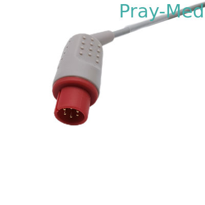 Name